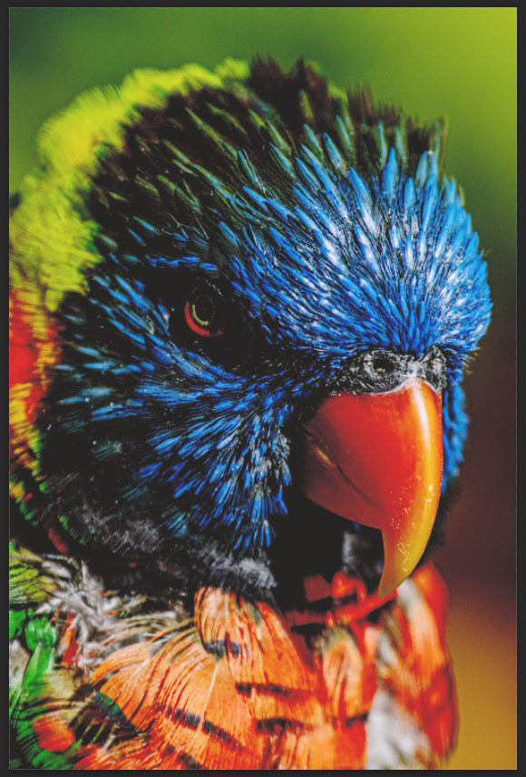 Pigmentaire Bright White Hahnemühle 310