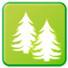 logo certification forêt