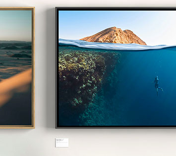 Picto Online - Floater Frame