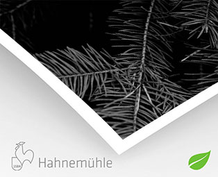 Sustainable Photo Satin Hahnemühle 220g (sur Epson Noir et Blanc)