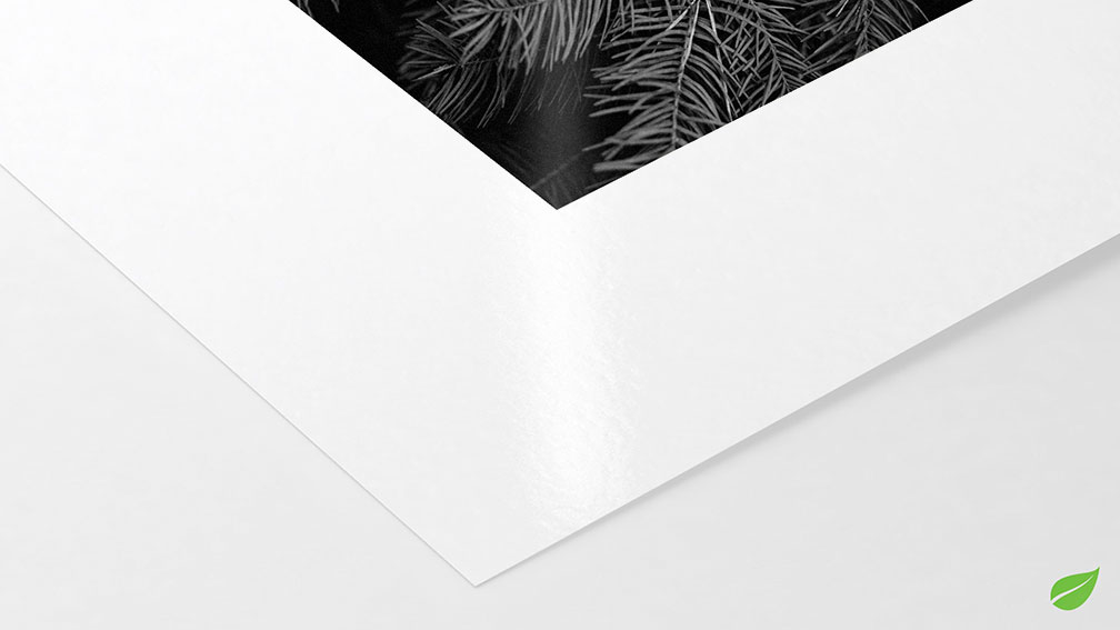 Sustainable Photo Satin Hahnemühle 220g (sur Epson Noir et Blanc)